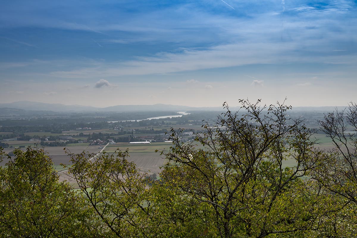 Eferdinger Becken, Donau